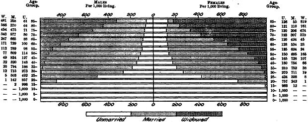 Proportions of unmarried, married and widowed at different ages